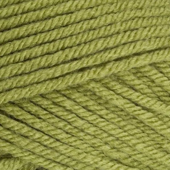 5 x 100g Stylecraft Special Chunky