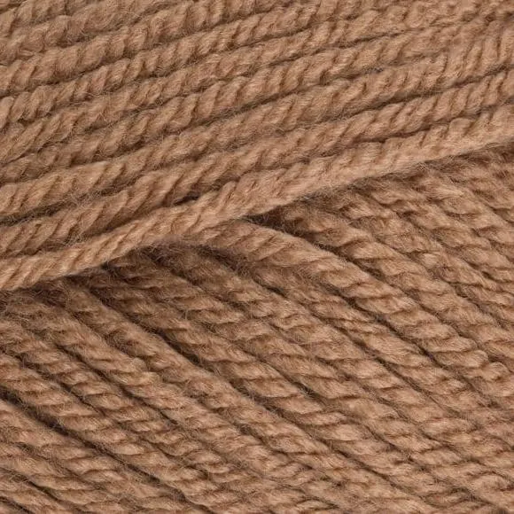 5 x 100g Stylecraft Special Chunky