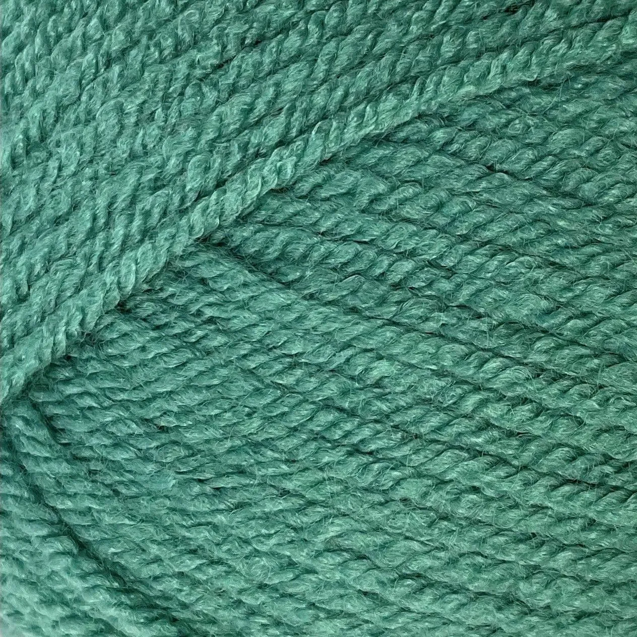 5 x 100g Stylecraft Special Chunky